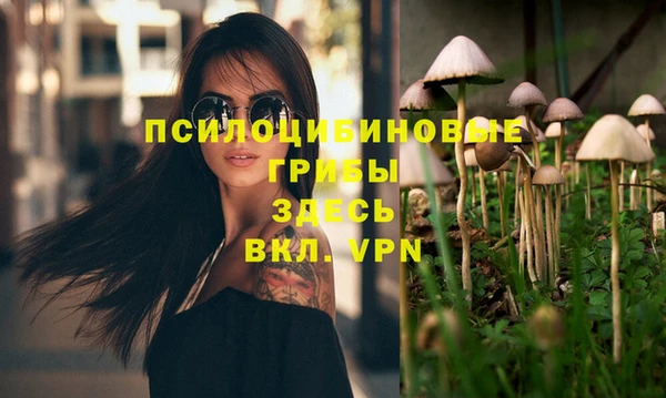 кокаин колумбия Новозыбков