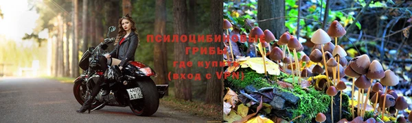 экстази Алексин